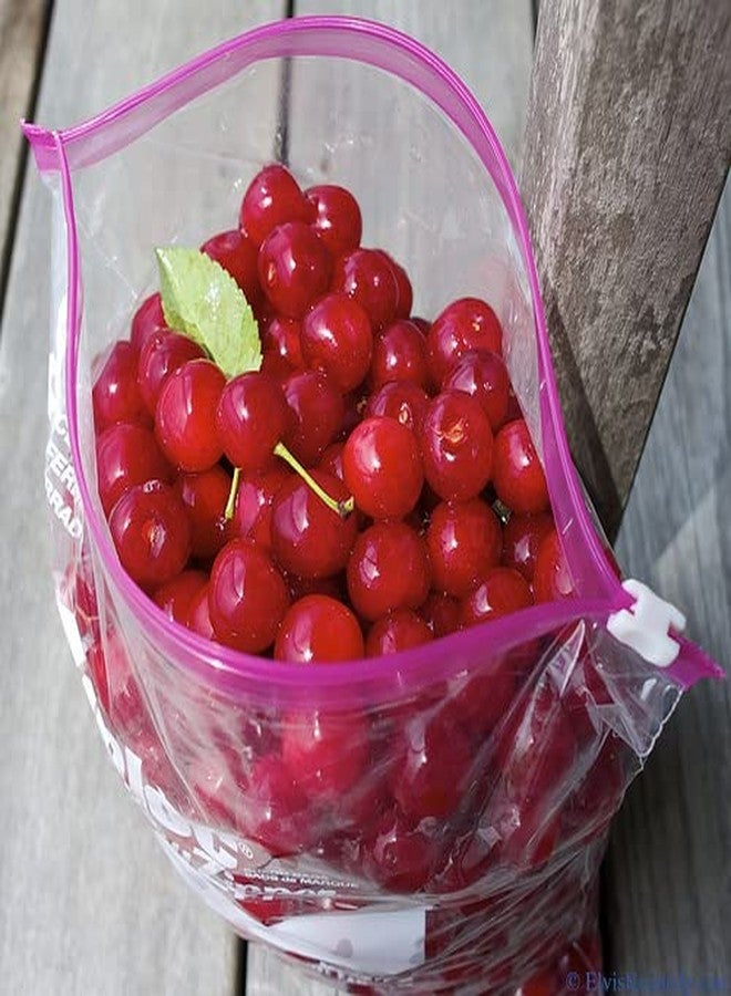 Rabbonix Ziplock Food Storage Re-Usable Bag Safe for Freezer & Refrigerator | Small |10 Pcs (Clear)(Polyethylene) - Image 3